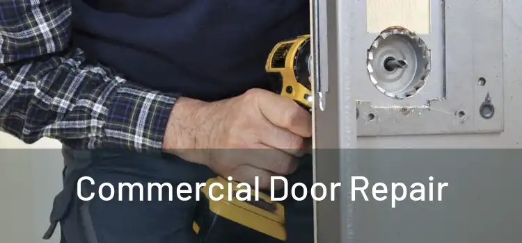 Commercial Door Repair